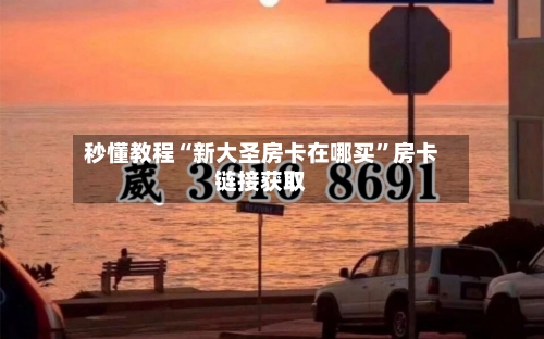 秒懂教程“新大圣房卡在哪买”房卡链接获取-第2张图片