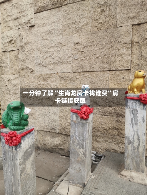 一分钟了解“生肖龙房卡找谁买”房卡链接获取-第2张图片