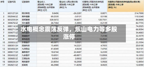 水电概念震荡反弹，乐山电力等多股涨停-第2张图片