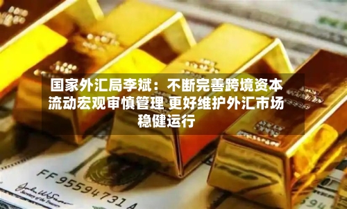 国家外汇局李斌:不断完善跨境资本流动宏观审慎管理 更好维护外汇市场稳健运行-第2张图片