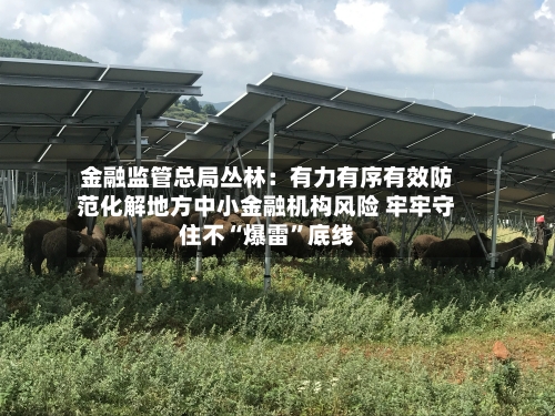 金融监管总局丛林：有力有序有效防范化解地方中小金融机构风险 牢牢守住不“爆雷	”底线-第2张图片
