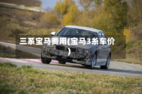 三系宝马费用(宝马3糸车价)