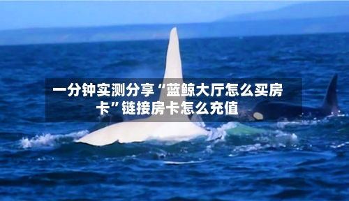 一分钟实测分享“蓝鲸大厅怎么买房卡	”链接房卡怎么充值-第3张图片