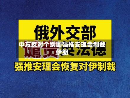 中方反对个别国强推安理会制裁伊朗