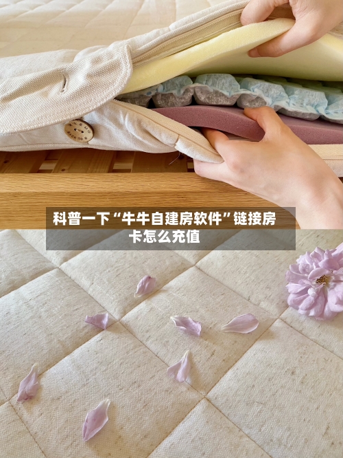科普一下“牛牛自建房软件	”链接房卡怎么充值-第2张图片