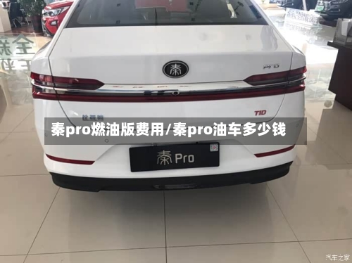 秦pro燃油版费用/秦pro油车多少钱-第3张图片