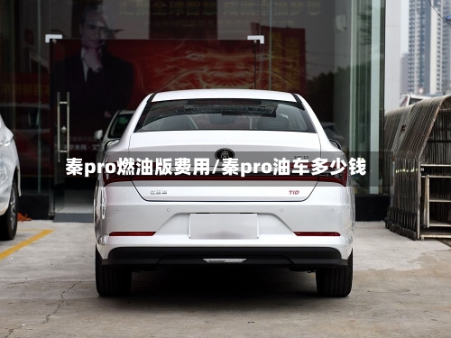 秦pro燃油版费用/秦pro油车多少钱-第2张图片