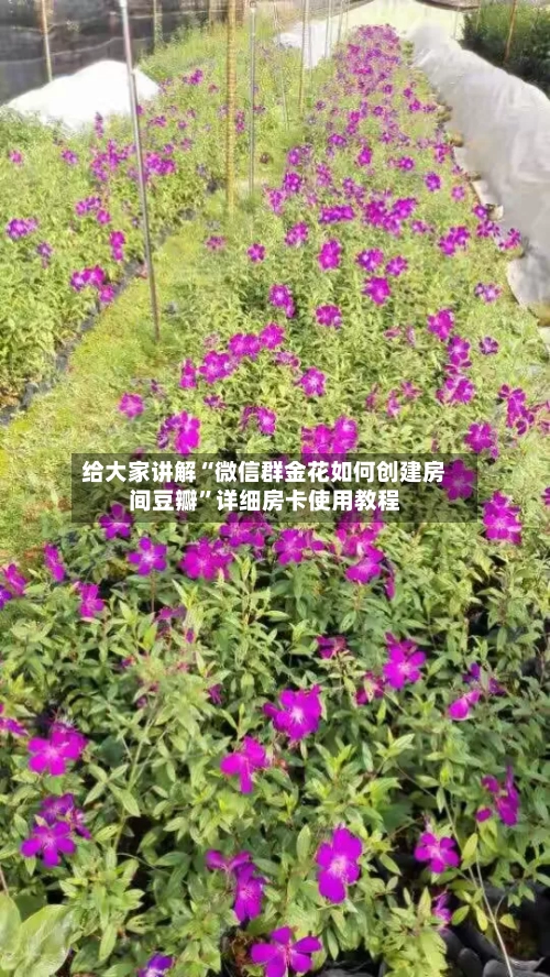 给大家讲解“微信群金花如何创建房间豆瓣”详细房卡使用教程-第2张图片