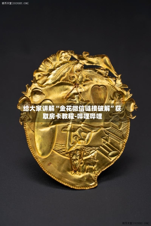 给大家讲解“金花微信链接破解”获取房卡教程-哔哩哔哩-第3张图片