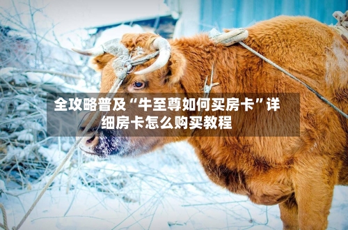 全攻略普及“牛至尊如何买房卡”详细房卡怎么购买教程-第2张图片