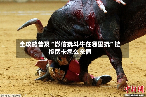 全攻略普及“微信玩斗牛在哪里玩”链接房卡怎么充值-第2张图片