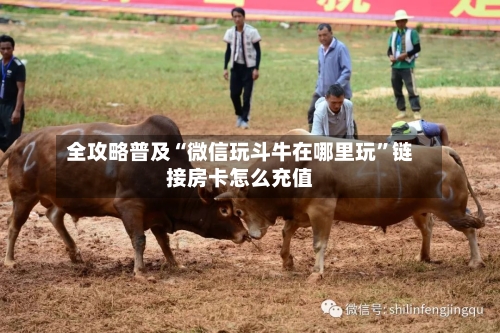 全攻略普及“微信玩斗牛在哪里玩”链接房卡怎么充值-第3张图片