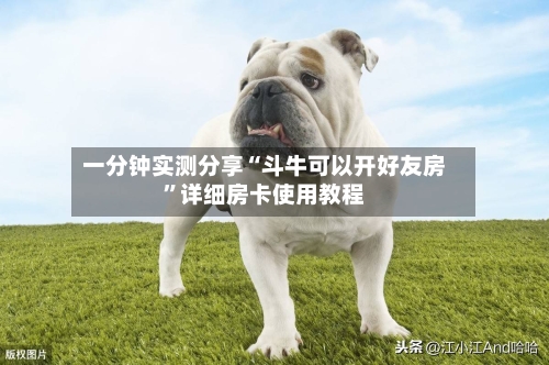 一分钟实测分享“斗牛可以开好友房”详细房卡使用教程-第2张图片