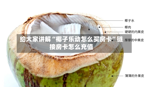 给大家讲解“椰子乐动怎么买房卡”链接房卡怎么充值-第2张图片
