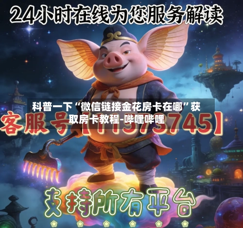 科普一下“微信链接金花房卡在哪”获取房卡教程-哔哩哔哩-第2张图片