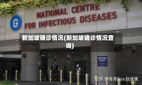 新加坡确诊情况(新加坡确诊情况查询)-第2张图片