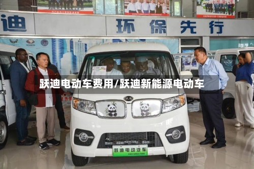 跃迪电动车费用/跃迪新能源电动车