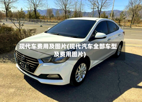 现代车费用及图片(现代汽车全部车型及费用图片)-第3张图片