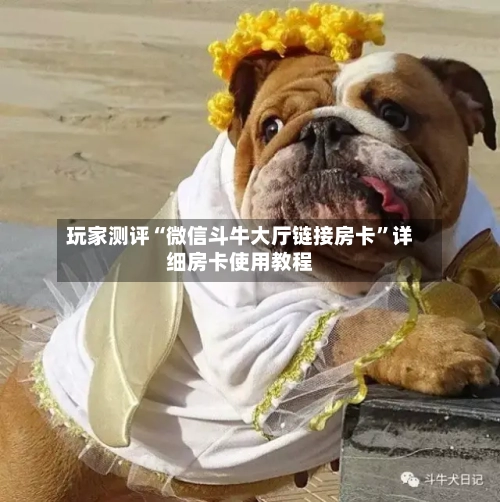 玩家测评“微信斗牛大厅链接房卡”详细房卡使用教程-第2张图片
