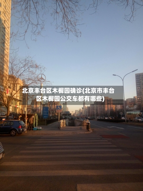 北京丰台区木樨园确诊(北京市丰台区木樨园公交车都有哪些)-第2张图片