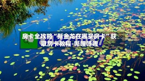 房卡全攻略“新金龙在哪买房卡”获取房卡教程-哔哩哔哩-第2张图片
