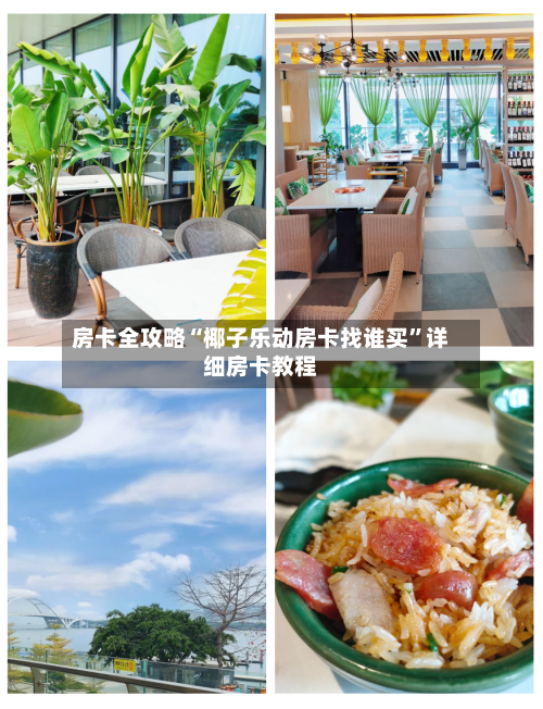 房卡全攻略“椰子乐动房卡找谁买”详细房卡教程-第3张图片