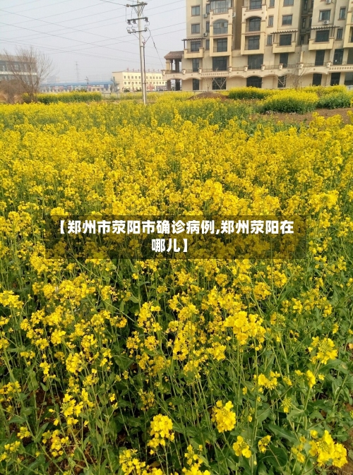 【郑州市荥阳市确诊病例,郑州荥阳在哪儿】-第3张图片