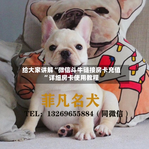 给大家讲解“微信斗牛链接房卡充值”详细房卡使用教程