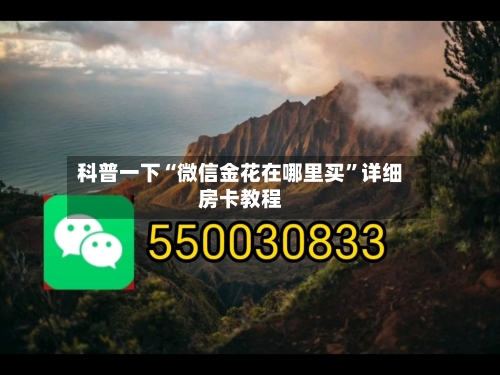 科普一下“微信金花在哪里买”详细房卡教程-第2张图片