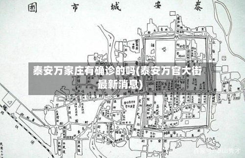 泰安万家庄有确诊的吗(泰安万官大街最新消息)-第2张图片