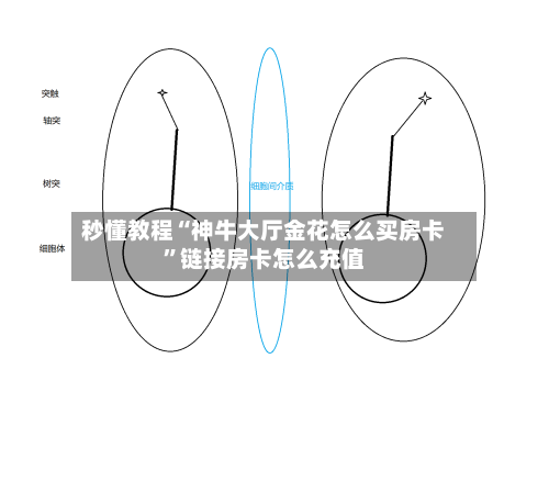 秒懂教程“神牛大厅金花怎么买房卡”链接房卡怎么充值-第3张图片