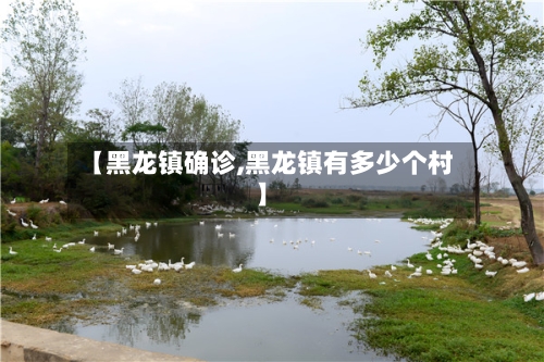 【黑龙镇确诊,黑龙镇有多少个村】