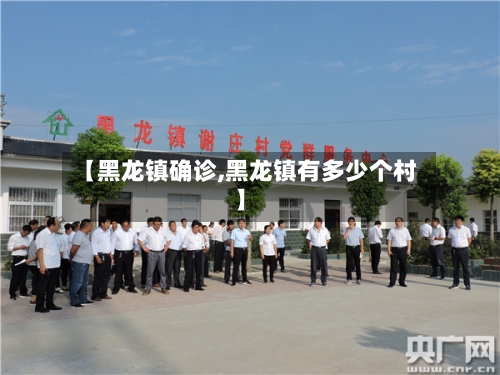 【黑龙镇确诊,黑龙镇有多少个村】-第2张图片