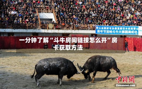 一分钟了解“斗牛房间链接怎么开”房卡获取方法-第2张图片