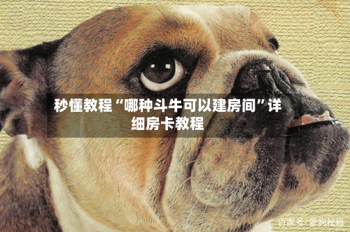 秒懂教程“哪种斗牛可以建房间”详细房卡教程-第2张图片