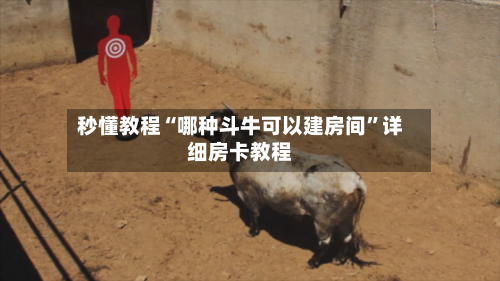 秒懂教程“哪种斗牛可以建房间”详细房卡教程