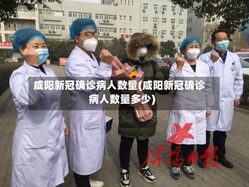 咸阳新冠确诊病人数量(咸阳新冠确诊病人数量多少)