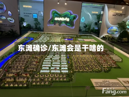 东滩确诊/东滩会是干啥的-第2张图片
