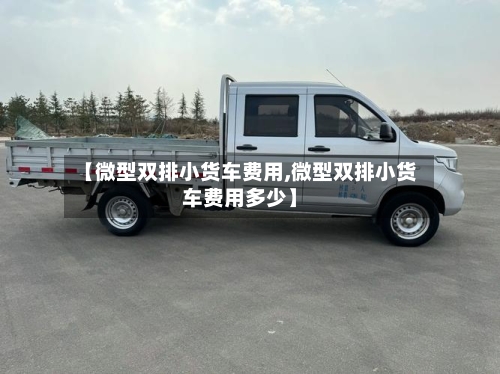 【微型双排小货车费用,微型双排小货车费用多少】-第2张图片