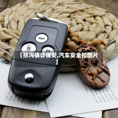【扶沟确诊保安,汽车安全扣图片】