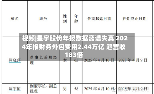 视频|星宇股份年报数据离谱失真 2024年报财务外包费用2.44万亿 超营收183倍-第2张图片