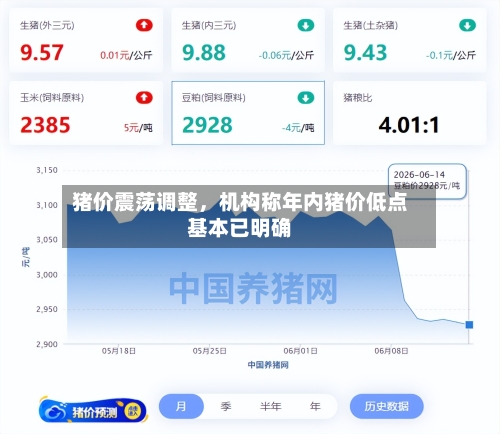 猪价震荡调整，机构称年内猪价低点基本已明确-第2张图片