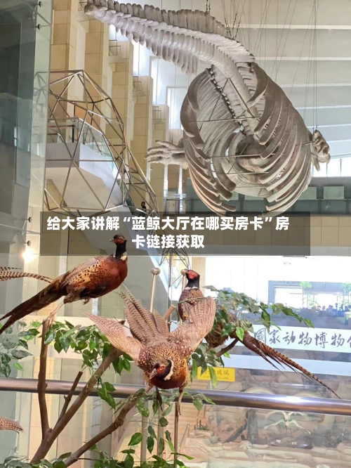 给大家讲解“蓝鲸大厅在哪买房卡	”房卡链接获取-第2张图片