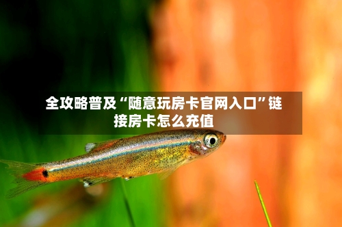 全攻略普及“随意玩房卡官网入口”链接房卡怎么充值-第3张图片