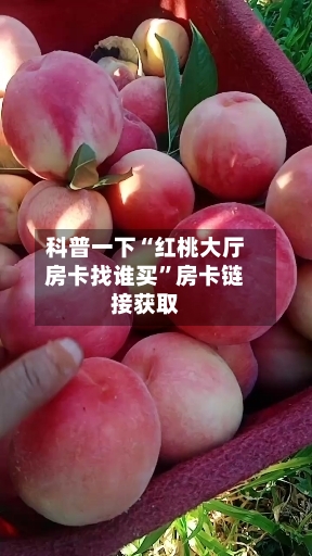 科普一下“红桃大厅房卡找谁买”房卡链接获取-第2张图片