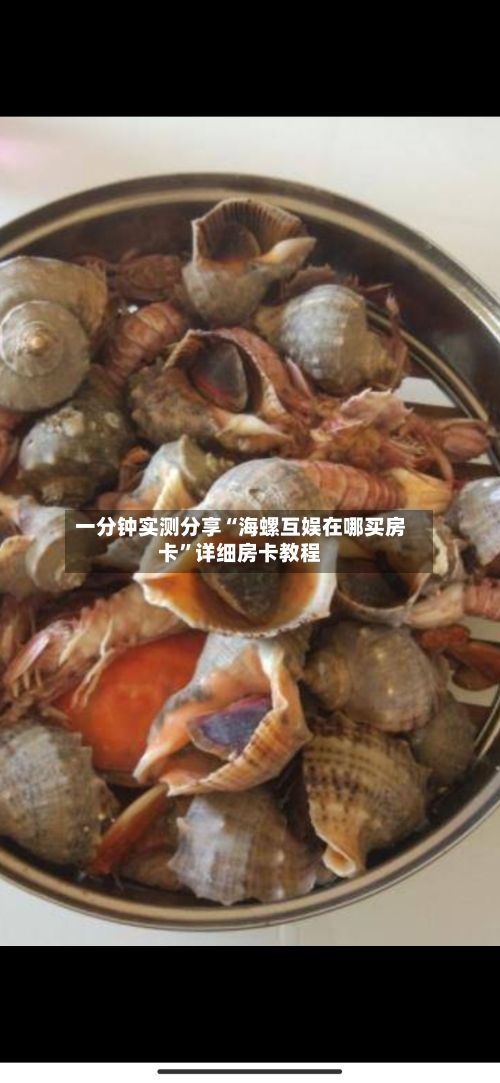 一分钟实测分享“海螺互娱在哪买房卡”详细房卡教程