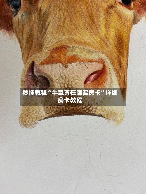 秒懂教程“牛至尊在哪买房卡”详细房卡教程-第3张图片