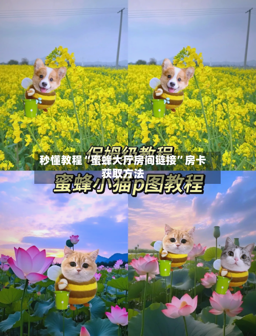 秒懂教程“蜜蜂大厅房间链接	”房卡获取方法-第2张图片
