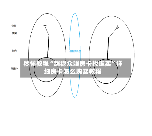 秒懂教程“超稳众娱房卡找谁买	”详细房卡怎么购买教程-第2张图片