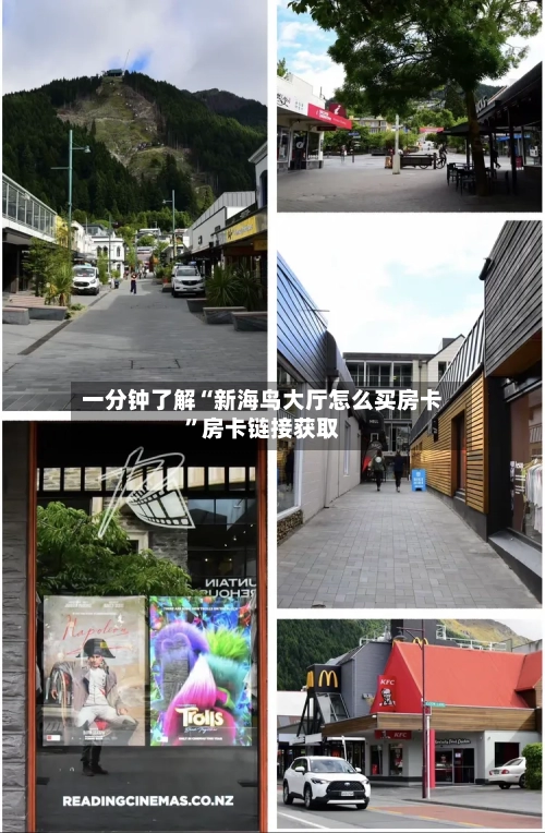 一分钟了解“新海鸟大厅怎么买房卡”房卡链接获取-第2张图片